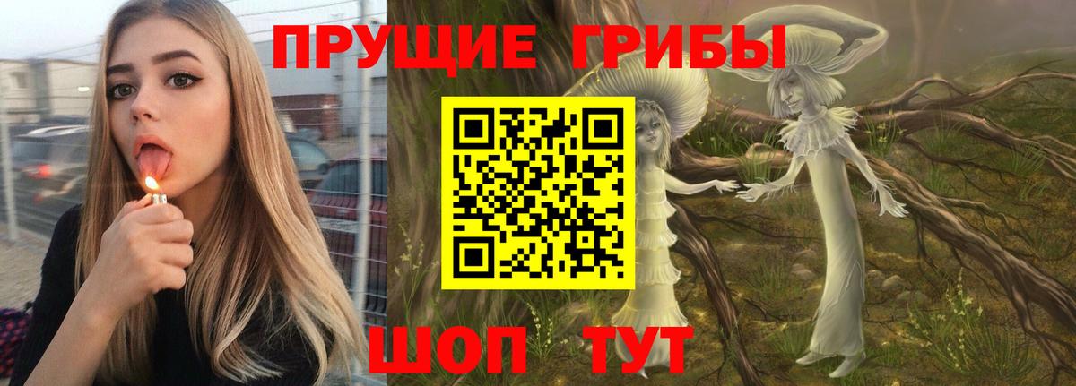 Волоколамск  Псилоцибиновые грибы ЛСД  где купить наркоту  Вход с VPN 